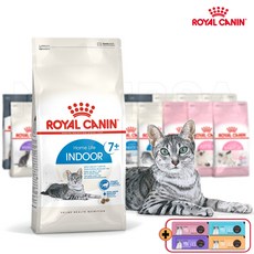 로얄캐닌 캣 인도어 7+ 1.5kg 생후 7년 이후 실내생활 노령묘 건식사료 간식2종&보관팩증정, 간식/지퍼백등 증정, 2024.07