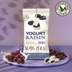 산과들에 원데이 요거트 건포도 20g 20봉, 1개, 400g