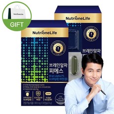 뉴트리원 뇌영양제 포스파티딜세린 식약처인증 인지력 개선 식물성캡슐 은행잎추출물 비타민E셀렌칼슘, 30캡슐, 2box