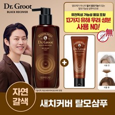 [자연갈색] 닥터그루트 블랙리커버 새치커버 샴푸 300ml+샴푸 75ml, 단품