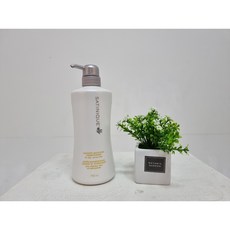 암웨이 새티니크 스무드 모이스처 컨디셔너(750ml)