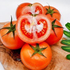 스테비아 토마토 1kg, 상세페이지 참조