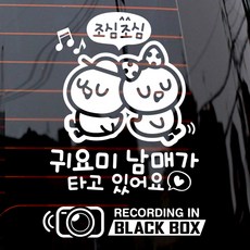 제제데코 자동차 스티커 병아리 조심조심 귀요미 남매 + 블랙박스, 화이트, 1세트