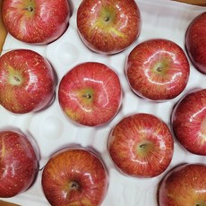 장수사과 5kg (13~14과) 특품 고당도 햇부사 장수부사 선물용 가정용 제수용, 1개