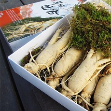 [풍기인삼] 6년근 원수삼 1채(750g), 1박스, 원수삼(소) 750g(14~18뿌리)