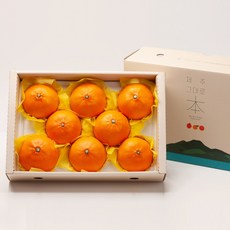깨비농원 고당도 천혜향 선물세트 3kg, 1box, 천혜향 선물세트 3kg 대과(7-10과)
