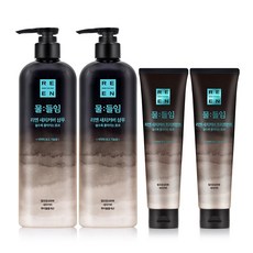 리엔 [자연갈색] 물들임 새치커버 샴푸 450ml+새치커버 트리트먼트150ml, 2세트
