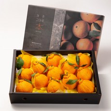 깨비농원 고당도 한라봉 선물세트 5kg, 1box, 한라봉 선물세트 5kg 특대과(10-13과)