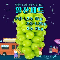 산지직송 프리미엄 고당도 샤인머스켓 가정용 선물용, 알뜰형 1.2kg (2수)