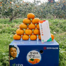 시골농원 40년 고당도 진영 단감 대과 선물용, 1박스, 5kg(대 20~23입)