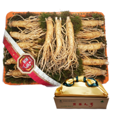 대한인삼사 인삼선물세트 풍기인삼 750g, 풍기인삼 11~15뿌리 750g