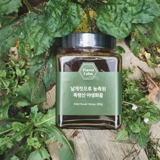 농장직영 포레스트캄 2022 천연꿀 숙성꿀 야생화꿀 (3사이즈), 150g