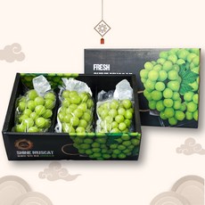 선물용 샤인머스켓 씨없는포도 망고포도 선물세트 산지직송 프리미엄 특상품 샤인머스캣, 특상품 프리미엄 3수 2kg(선물포장)