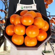 푸릇푸릇 햇단감 부유단감 배감 배단감 단감 5kg 10kg, 5kg 대과 (20개내외)