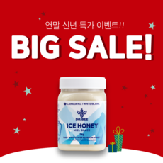 닥터비 캐나다 석청 꿀 로키 아이스허니 통벌꿀 1kg 자연산 효능 꿀벌화분 Raw Honey, 단품