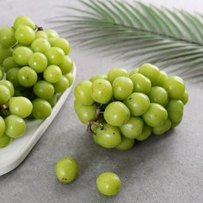 고당도 샤인머스켓 가정용 2kg(3-4수) 에어포장, 단일속성