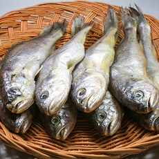 국내산 여수 참조기 소 중 대 사이즈 18미-30미 1.2kg, 참조기 대 18미 (팩당 3미 220g 내외) 6팩
