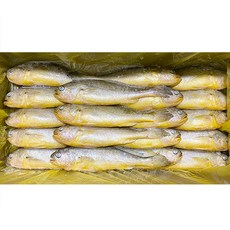 부산이오 냉동 부세 조기 제수용 제사용 구이용 3.4kg 박스 도매, 300/400(12미)
