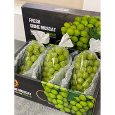 밀양 고당도 프리미엄 샤인머스켓 특품 고품질 포도 산지 직송, 2kg 3송이 선물세트