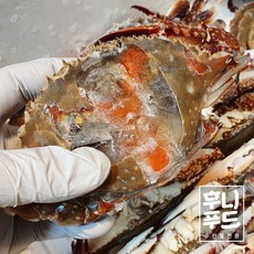 연평도 알베기 암꽃게 1k 4미 급냉 간장게장용 밥도둑 꽃게탕 꽃게찜