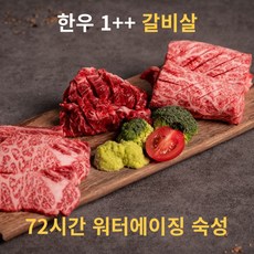 이연옥참된한우 1++ 워터에이징 숙성 갈비살 250g 부드러운 육질/육즙팡팡