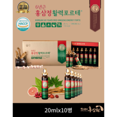 고려홍삼원 6년근 홍삼정 활력포르테 + 쇼핑백 명정선물 부모님선물 고마운분선물(20mlx10병) 온가족면역, 100mlx30병