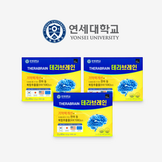 [정식판매처] 연세대 테라 브레인 3박스 기억력 두뇌 건강 기능식품 천마 가루 뇌 홍경천 아연 연세생활건강, 1 box 60개입 / 120g