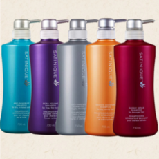암웨이 새티니크 샴푸 5종 /선택, 안티 댄드러프샴푸750ml (딥클렌/비듬두피)