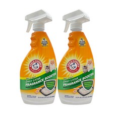 암앤해머 고양이모래 탈취제 636ml x2개 /스프레이형, 2개