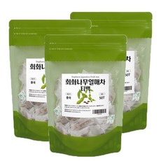 회화나무열매추출물 식물성 에스트로겐 삼각티백 150T, 3봉, 50티백