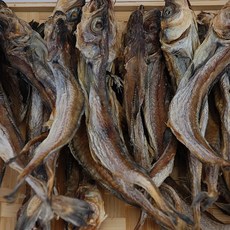포항마트 A급 줄노가리 파품 500g / 건노가리 바짝마른 노가리, 1개, 줄노가리파지500g