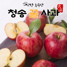 청송 사과 선물세트 설선물 명절선물 세트 꿀사과 부사 사과직거래 5kg 10kg, 고급 사과선물세트 5kg