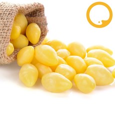 냉동 은행알 깐 누드 열매 1kg 꼬지 영양밥