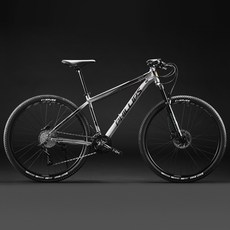 필립스 29인치 알루미늄 MTB 자전거 33단 입문용MTB, E + 33단 + 29인치