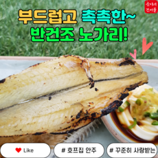 (순이네 건어물) 촉촉한 반건조 노가리 400g / 국내가공 / 을지로 노가리 / 중부시장 도매 / 건어물, 1개