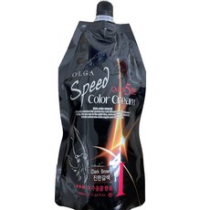 올가 퀵 5분 오징어먹물 염색약 500g, 진한갈색