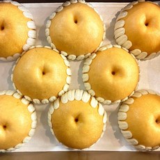 [GAP인증] 배 신고 나주 햇배 특품 가정용 설 명절 과일 선물 세트 프리미엄, 특품 햇배(8-10과) 5kg