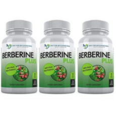 Berberine Plus 베르베린 플러스 1200mg 120 베지캡슐 (1병 2병 3병), 1 쎄트