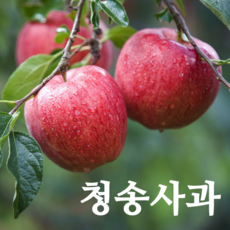 청송 사과 부사 농부네 부부농장 꿀 사과 산지직송, 1박스, 01.사과 가정용 2kg 소과