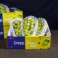 농부마음 달콤한 망고포도 샤인머스켓 2kg 4-5수 실속 가정용, 1