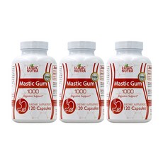 Logic Nutra 로직 누트라 매스틱 검 1000mg 120정, 3병