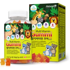 네추럴라이즈 멀티비타민 꾸미 60p, 150g, 1개
