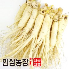 더굿진생 금산인삼 세척 수삼 삼계탕인삼 실속형 오쿠용, 1개, 세척인삼650g(13~16뿌리)