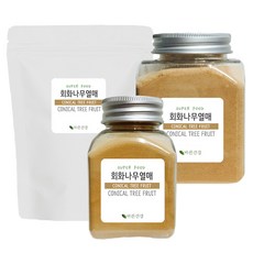 바른건강 스푼증정 회화나무열매 추출 분말 가루 회화나무 열매 추출물 괴각추출분말 회화나무열매분말100%, 1개, 100g