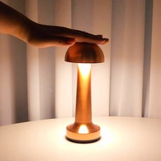 본디자인랩 스틸 머쉬룸 조명 충전식 무선 감성 미드센추리 무드등, 원형(Dome)-로즈골드 (RG)