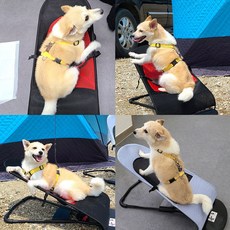 말썽쟁이여름 강아지 고양이 애견 애완견 대형견 개 반려동물 펫 접이식 캠핑 수면 야전 흔들 침대 천 해먹 베드 바운스 바운서, 그레이+해먹커버(그레이)