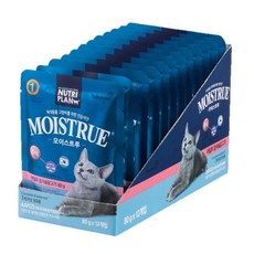 동원 뉴트리플랜 고양이 주식파우치 어덜트 습식사료12p, 생선, 960g, 12개