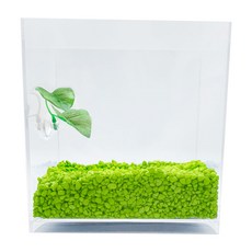 아쿠아테라 뉴탱크 베타어항 + 컬러스톤 500g + 베타침대, 플로워링 연두