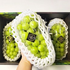 [블랙라벨] 프리미엄 샤인머스켓 2수 3수 초고당도 과일선물세트, 2수 1.2kg