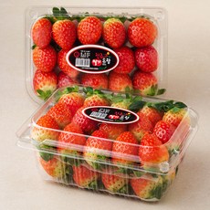 산지직송 진주드림 진주 설향딸기(상), 500g, 2팩